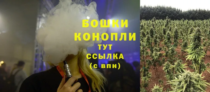 Марихуана White Widow  Арамиль 